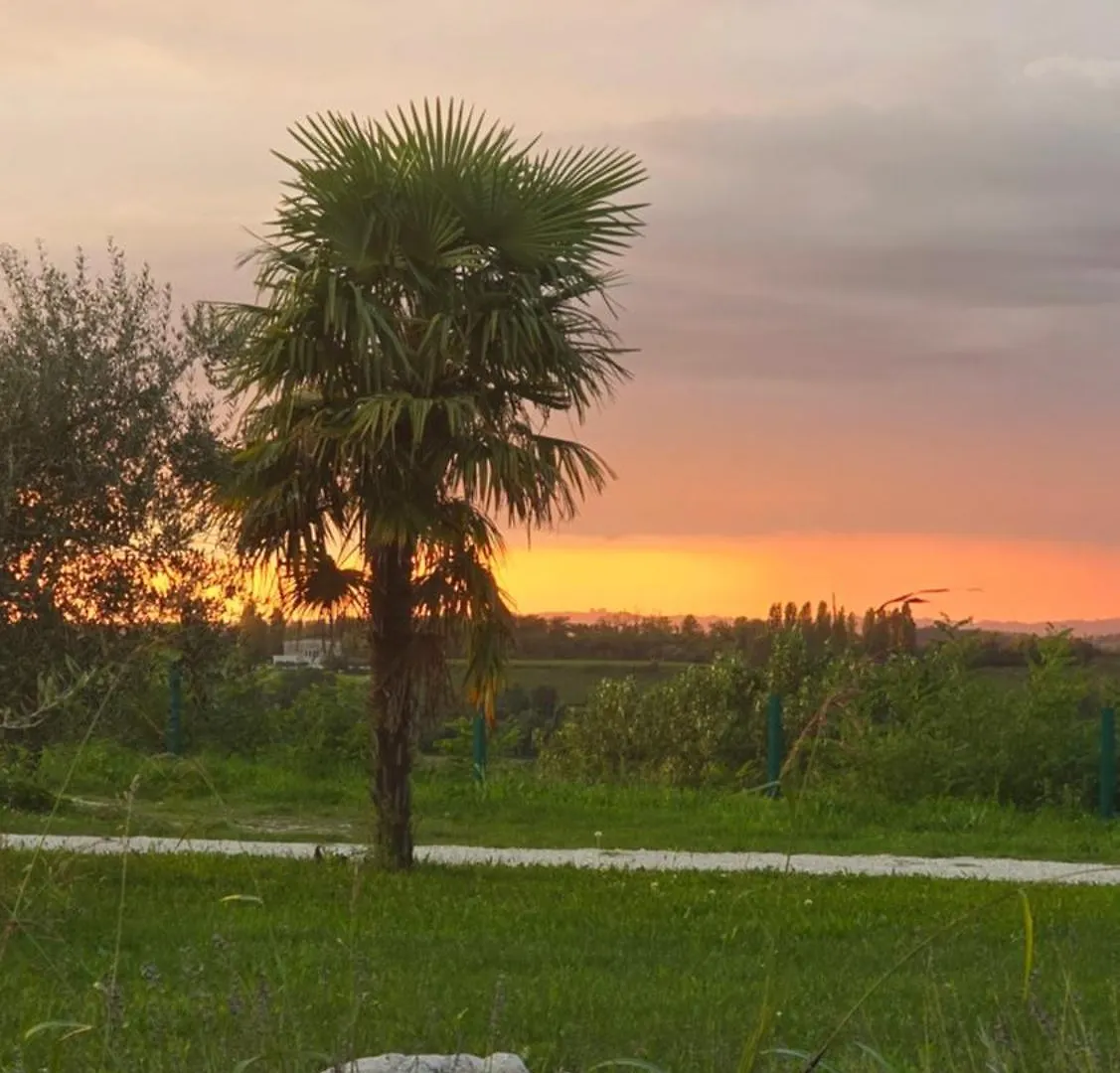 Agricampeggio Al Cielo Stellato Valeggio sul Mincio Campsite